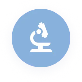 Aprendizaje experimental