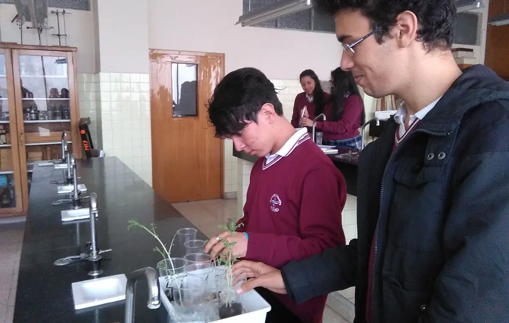 EDUCACION SECUNDARIA