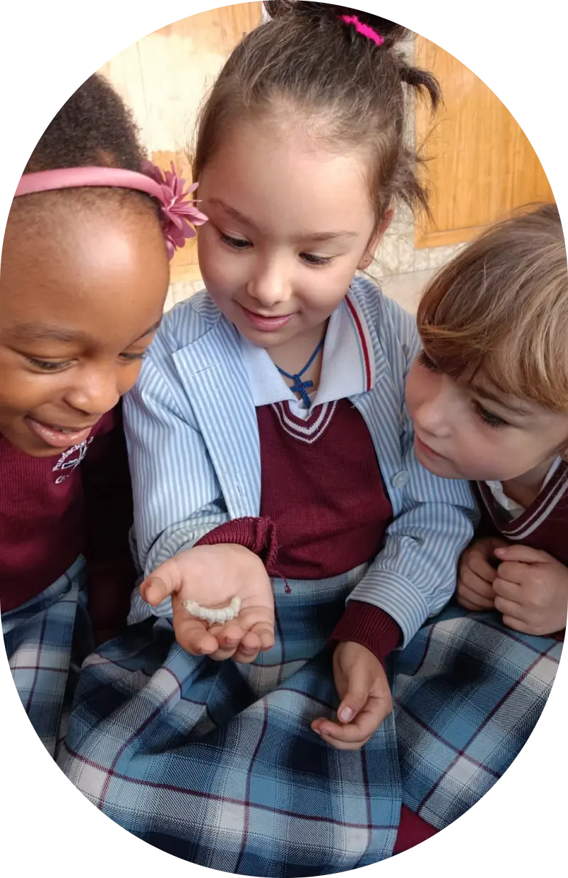 La Anunciata Zaragoza